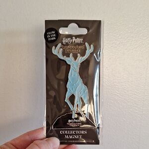 Harry Potter Collectors Magnet